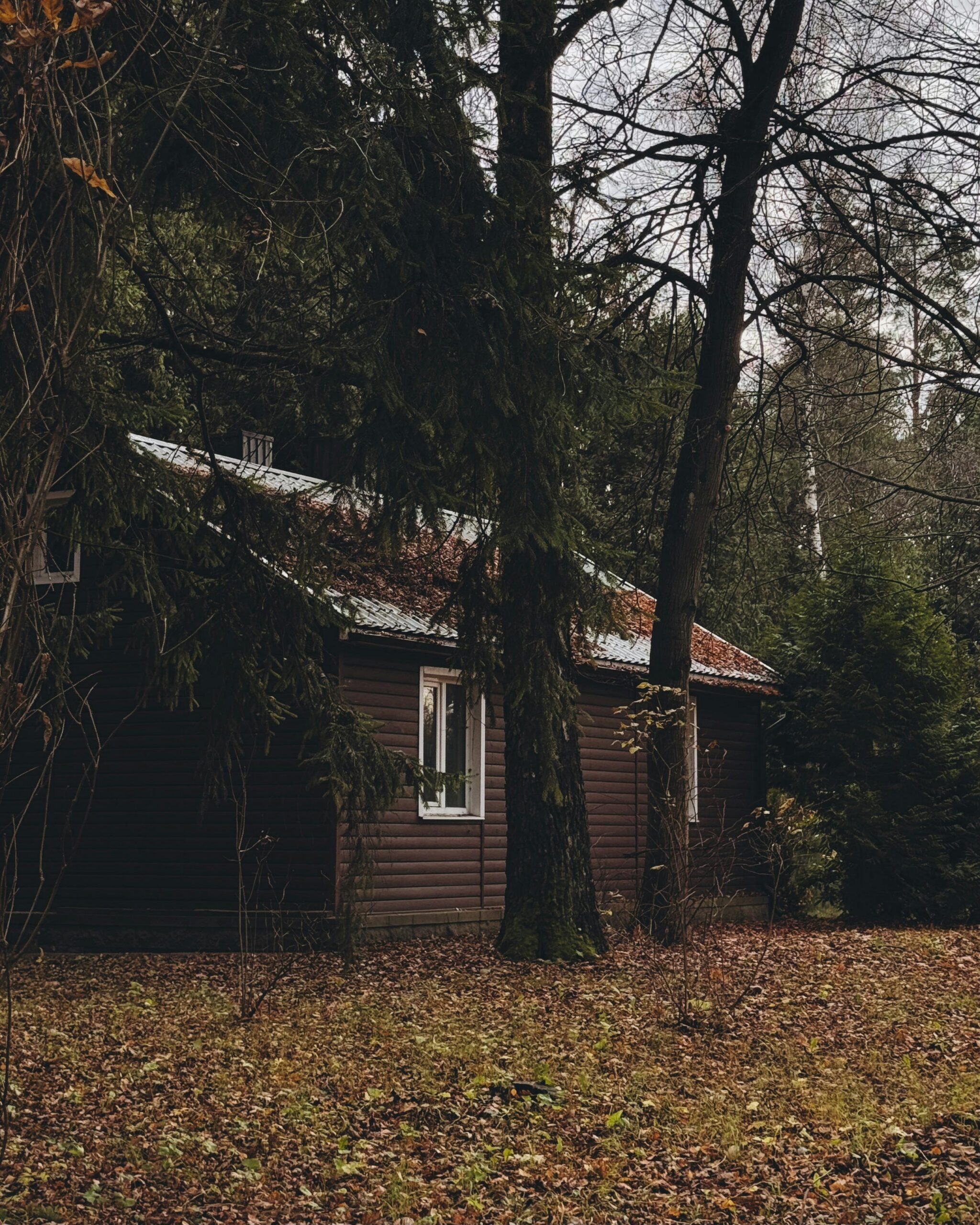Wolf House